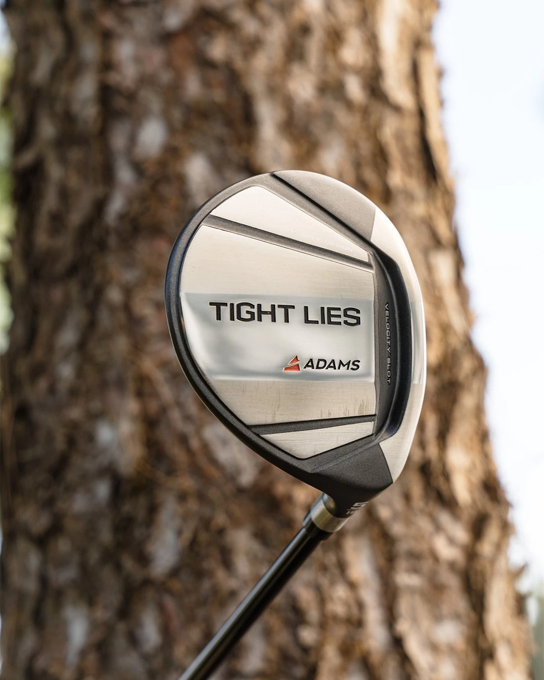 Front Page 29 Front Page -Adams Golf Shop 5 1